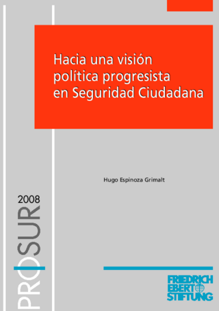 Hacia una visión política progresista en seguridad ciudadana