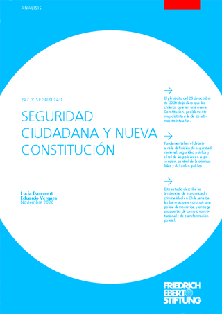 Seguridad ciudadana y nueva constitución