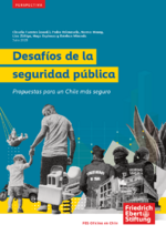 Desafíos de la seguridad pública