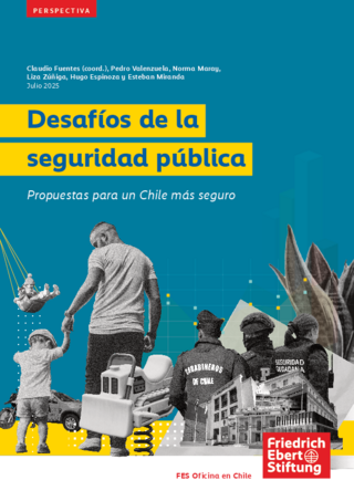 Desafíos de la seguridad pública